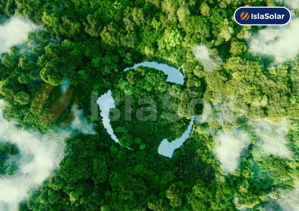 efectos de las placas solares en el medioambiente